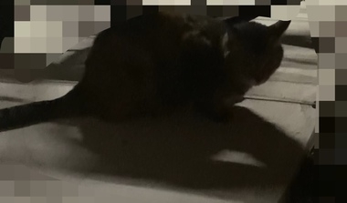 20250613_150002_0a6494d9ebc6463bd682a6cae2684e31.jpeg